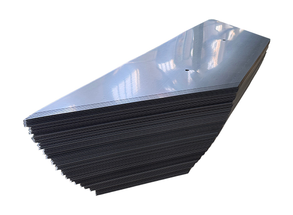 اندام هسته ای